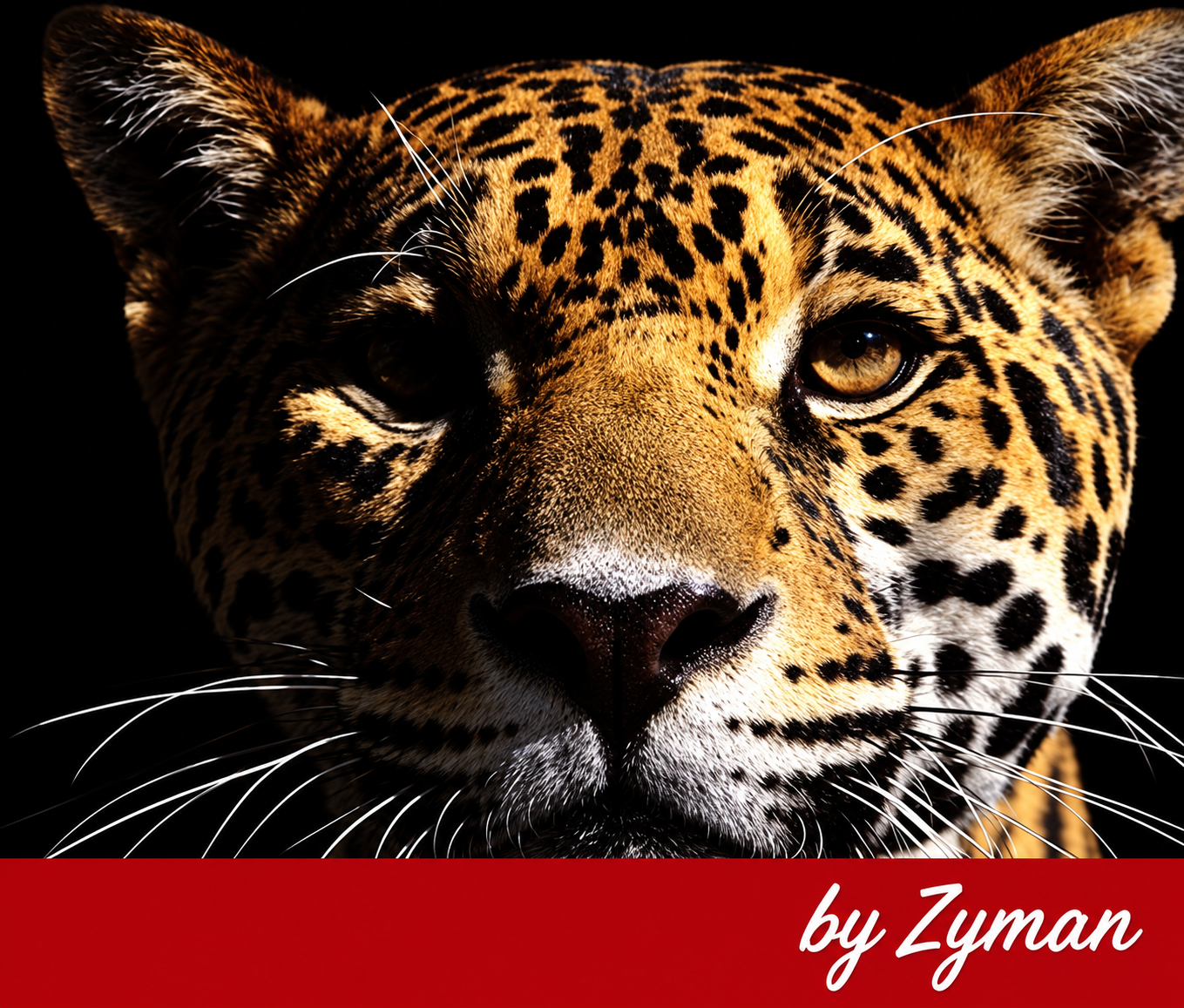 Jaguar de la identidad de MAX&MOI, integrado sobre fondo oscuro